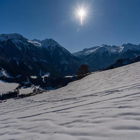 Brandtner Bauer Wald im Pinzgau