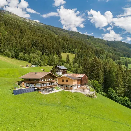 Brandtner Bauer Wald im Pinzgau