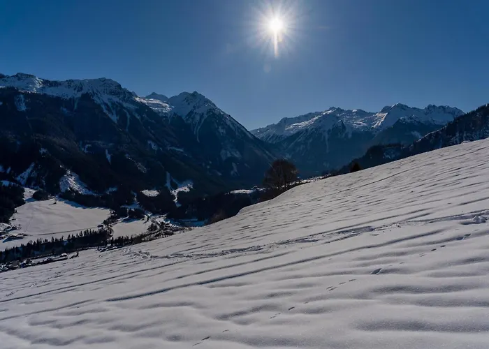 Brandtner Bauer וואלד אים פינצגאו